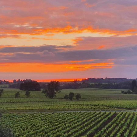 Chateau Fleur De Roques - Puisseguin Saint Emilion Εξωτερικό φωτογραφία