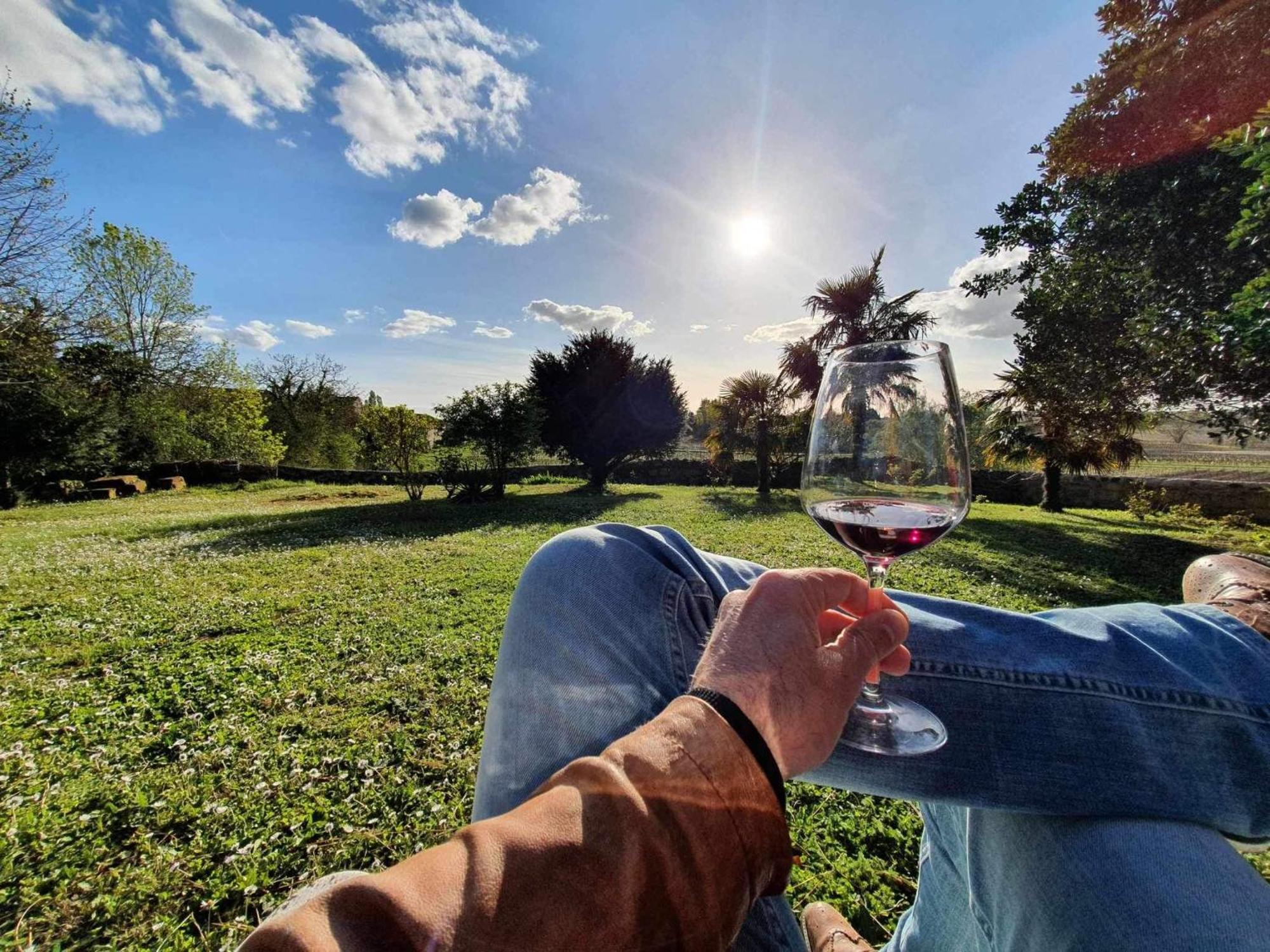 Chateau Fleur De Roques - Puisseguin Saint Emilion Εξωτερικό φωτογραφία