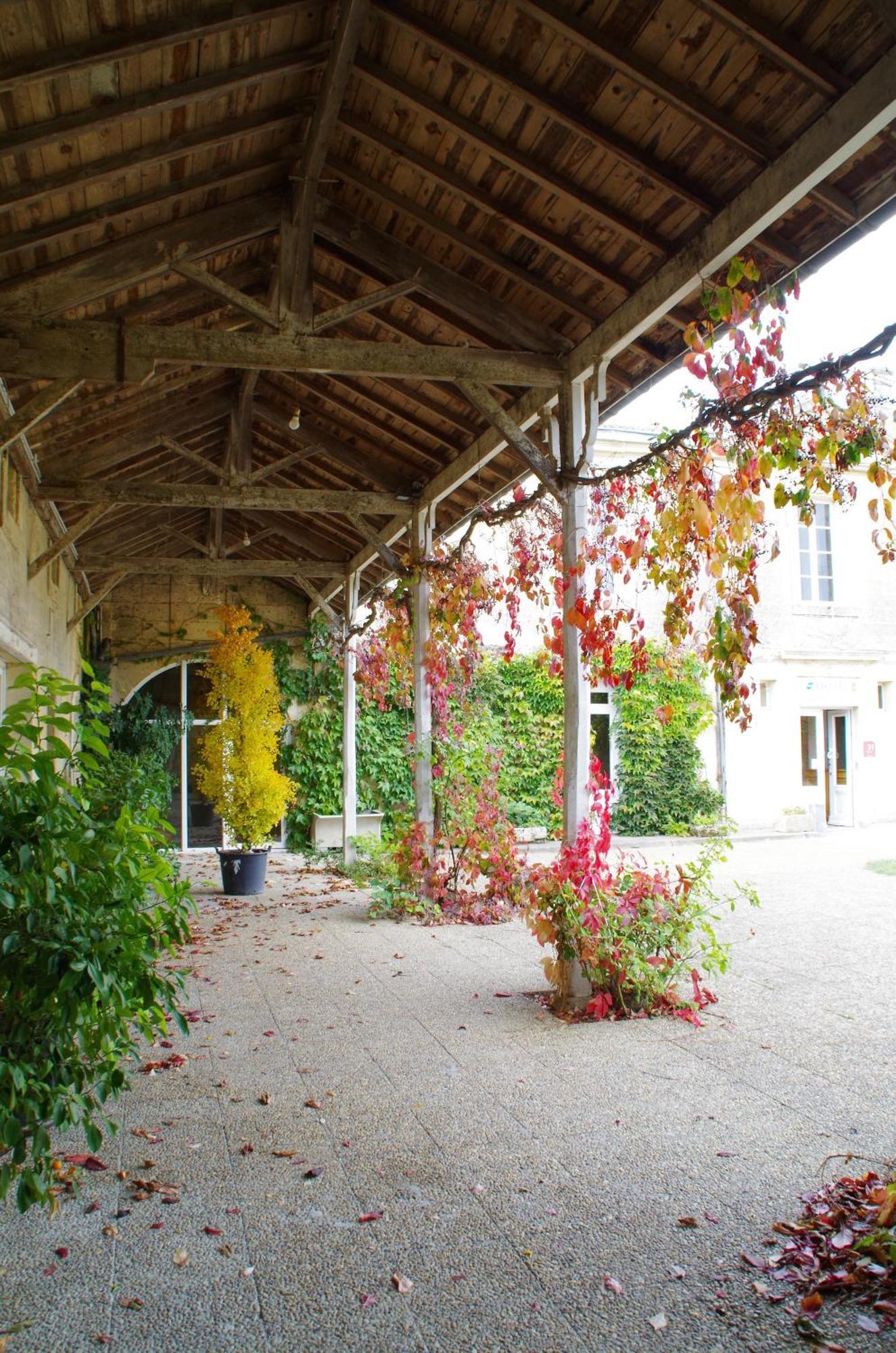 Chateau Fleur De Roques - Puisseguin Saint Emilion Εξωτερικό φωτογραφία
