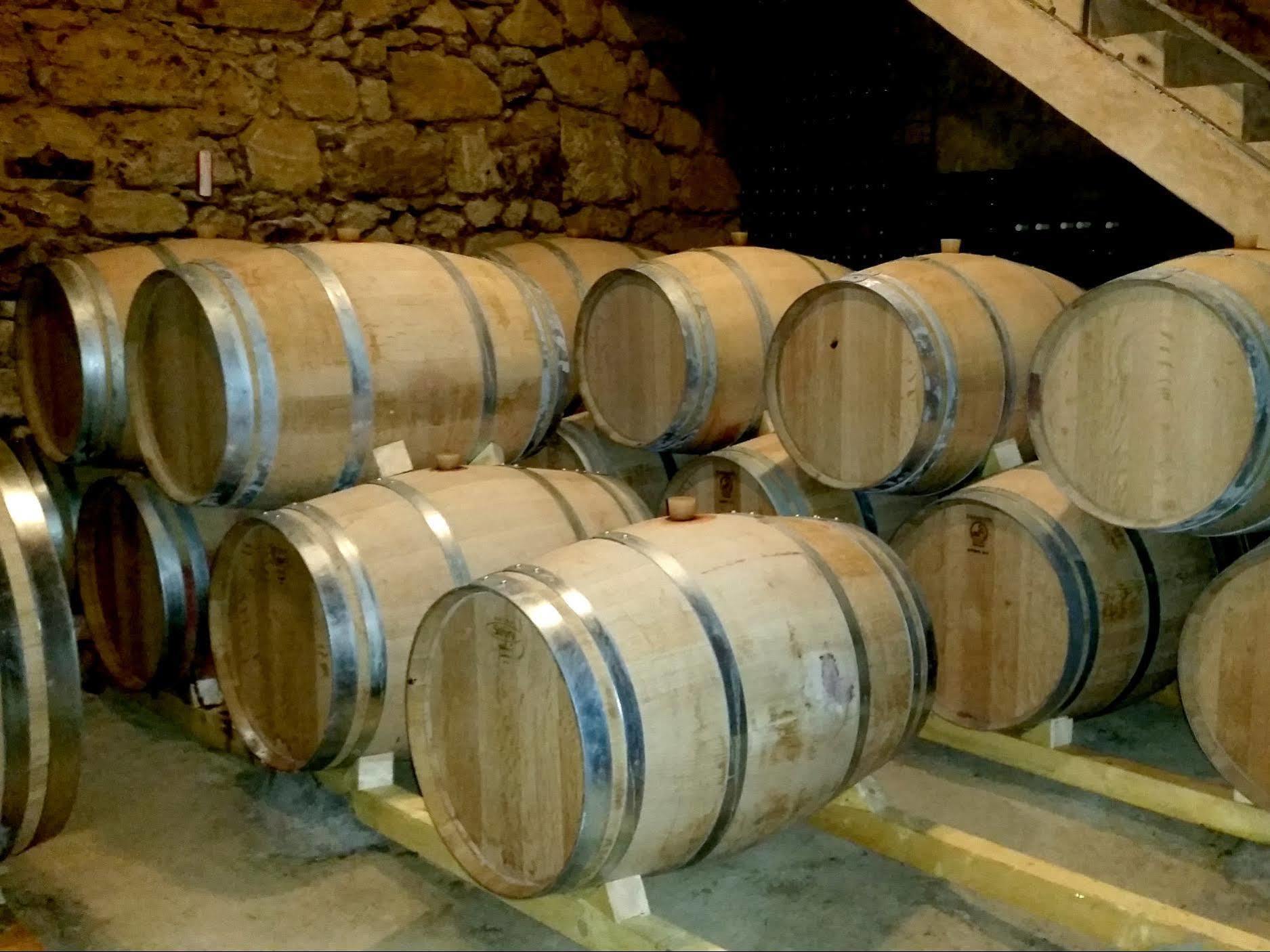 Chateau Fleur De Roques - Puisseguin Saint Emilion Εξωτερικό φωτογραφία